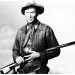 Winchester 73