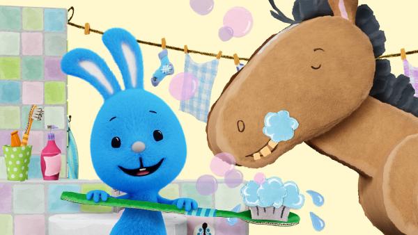 Bild 1 von 1: Kikaninchen schrubbt dem Pferd die Zähne blitzeblank.