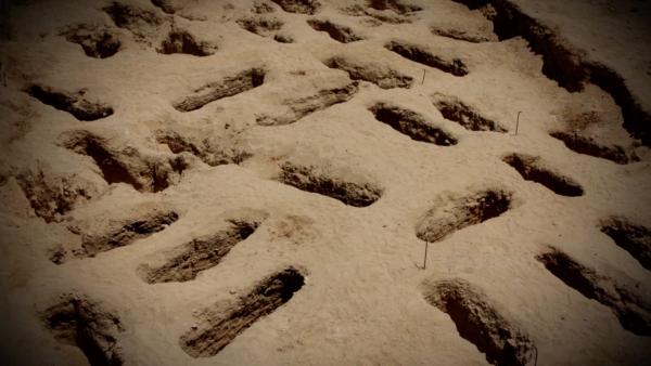 Bild 1 von 3: In Amarna werden unzählige einfach bestattete Skelette von jungen Menschen gefunden, die wohl einer Seuche zum Opfer fielen.