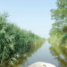 Bild 18