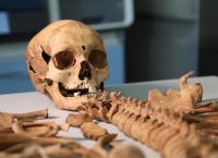 Friedhof der Vampire