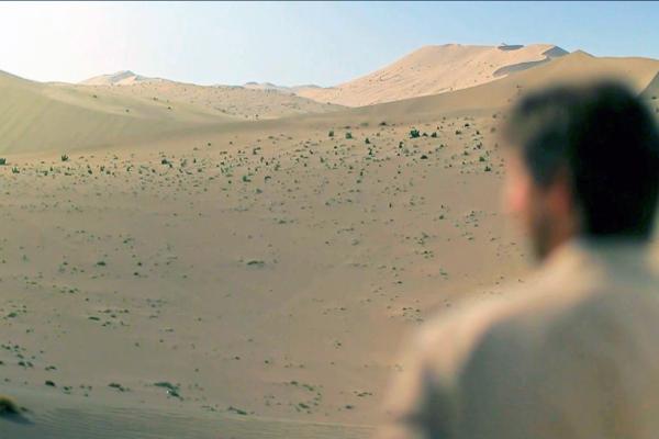 Bild 1 von 3: Bis zum Horizont erstrecken sich die Ebenen der Wüste Gobi im Norden Chinas und im Süden der Mongolei. Ungefähr ein Drittel der mongolischen Landesfläche ist Wüste.