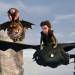 Dragons - Die Reiter von Berk