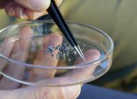 Rätselhafte Phänomene