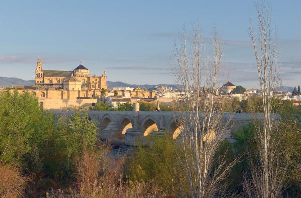 Bild 1 von 5: Córdoba blickt auf eine lange, wechselvolle Geschichte zurück und hat eine der größten und am besten erhaltenen Altstädte Spaniens.