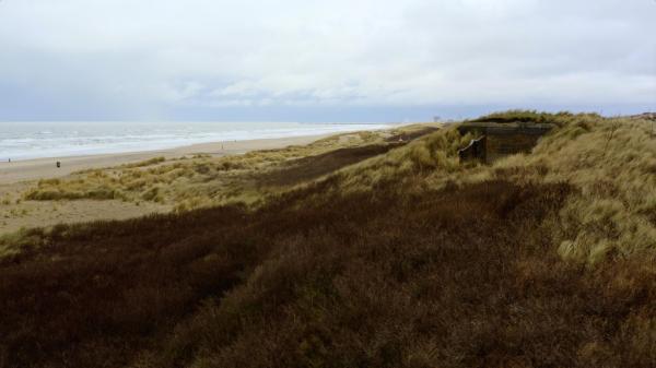 Bild 1 von 2: .