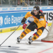 Eishockey Live - Deutschland Cup
