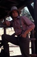 Michael Landon in: Unsere kleine Farm