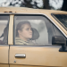 The Tourist - Duell im Outback