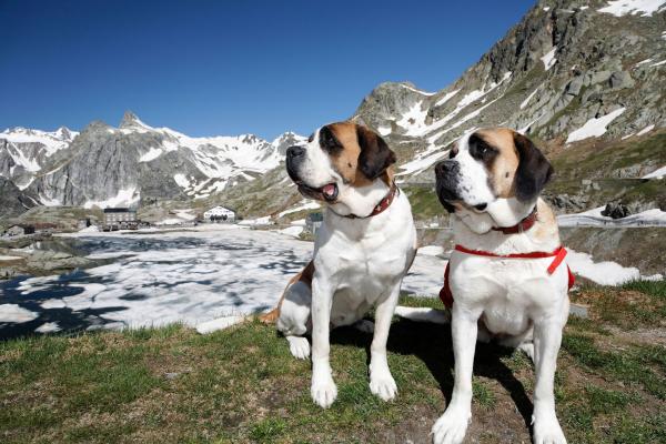 Bild 1 von 4: .