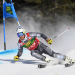 Ski Alpin