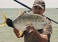 Giganten unter Wasser - Riesenfischen auf der Spur