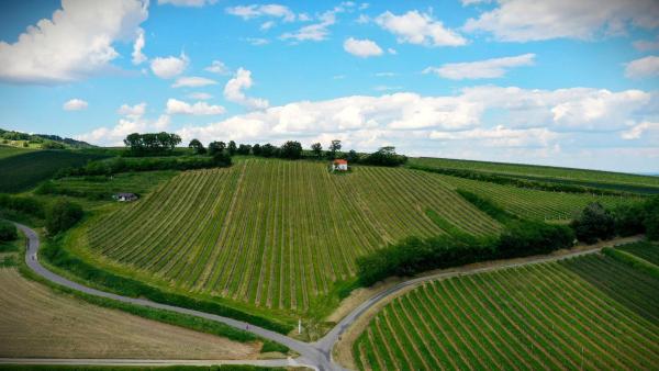 Bild 1 von 14: Im Bild: Frauenkirchen.