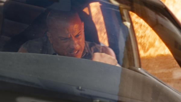 Bild 1 von 9: Dominic \