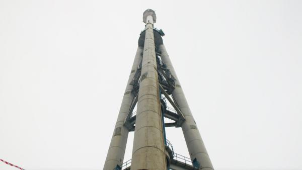 Bild 1 von 11: .