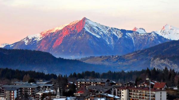 Bild 1 von 1: .
