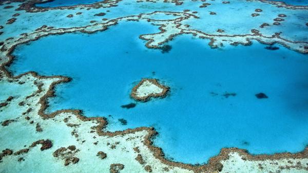 Bild 1 von 2: Das Great Barrier Reef liegt vor der Küste Queenslands im Nordosten Australiens. Inzwischen ist ein großer Bestandteil des Riffs von Korallenbleiche betroffen.