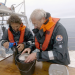 Mikroplastik im Meer