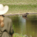 Anna und die wilden Tiere