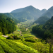 Wildes Japan - Land der tausend Inseln