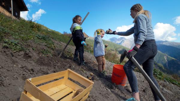 Bild 1 von 13: Michaela Gamper vom Gfall-Hof im Kartoffelacker.