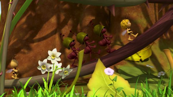 Bild 1 von 9: Maja darf die Ameisentruppe anführen.