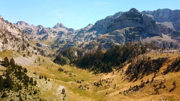 Bild 1 von 6: PoÄitelj.