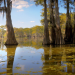 Durch Louisiana entlang des Mississippi