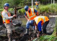 Die Schatzsucher von Oak Island