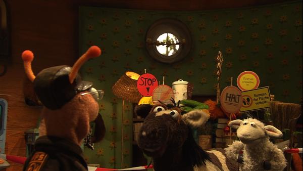 Bild 1 von 5: Finchen hat vergessen, das Märchenbuch wieder zurück zu geben. Wolle und Pferd regen sich furchtbar darüber auf.