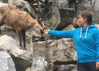 Anna und die wilden Tiere