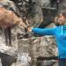 Anna und die wilden Tiere