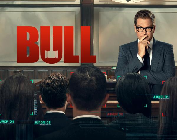 Bild 1 von 3: (5. Staffel) - Bull - Artwork