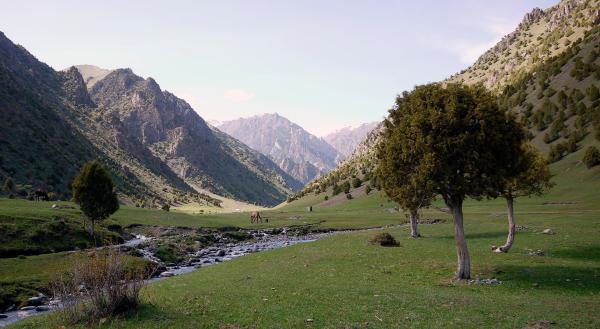 Bild 1 von 6: Kirgisisches Hochgebirgstal. Ein idealer Platz für das Sommerlager der Nomaden, das so genannte \