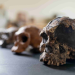 Humans - Geschichte der Menschheit