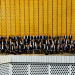 Die Berliner Philharmoniker im Schlüterhof des Berliner Stadtschlosses