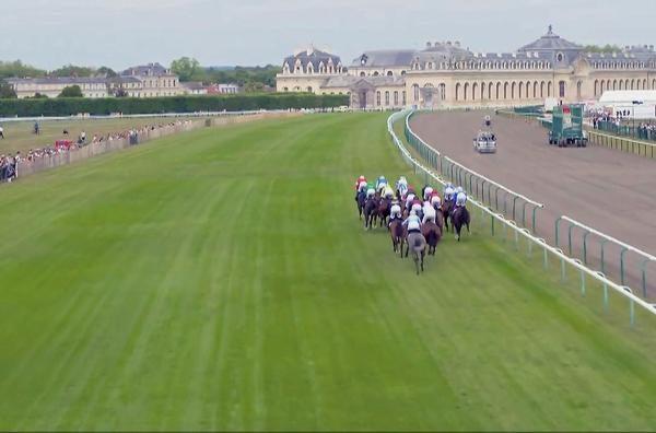 Bild 1 von 2: Die kleine Gemeinde Chantilly nördlich von Paris ist das wichtigste Zentrum der französischen Rennpferdezucht.