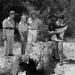 Daktari