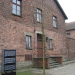 Medizinische Experimente in Auschwitz