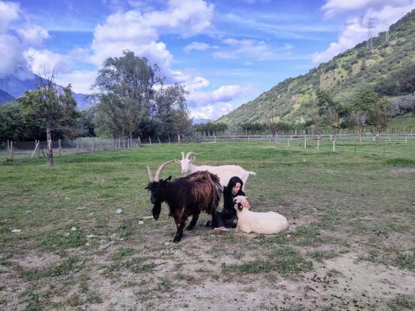 Bild 1 von 5: Wendy betreibt im Wallis ein Tierasyl für Nutztiere: Kühe, Ziegen, Schweine, Esel, Lamas und mehr.