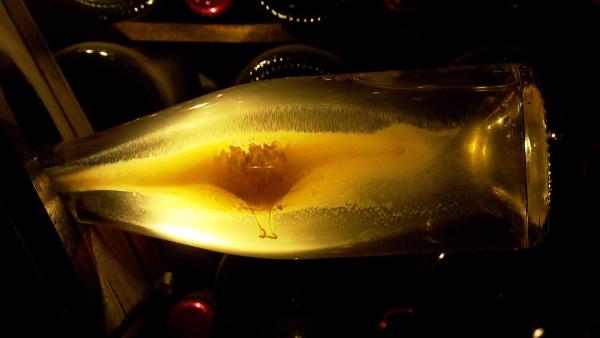 Bild 1 von 8: Im Bild: Hefetrub lagert in der Flasche.