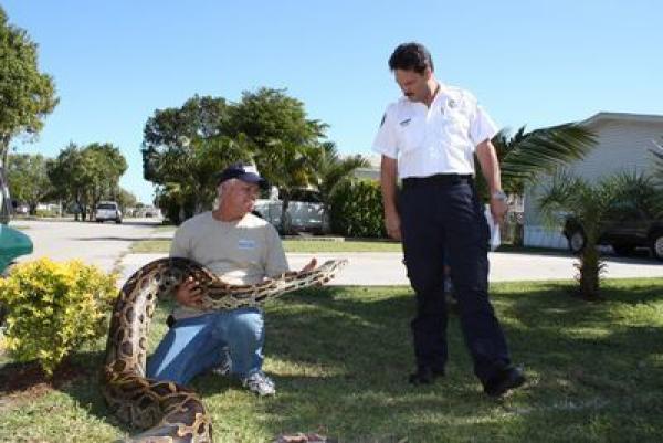 Bild 1 von 1: no description provided