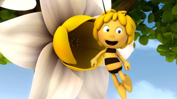 Bild 1 von 6: Maja hat eine Narzisse entdeckt.