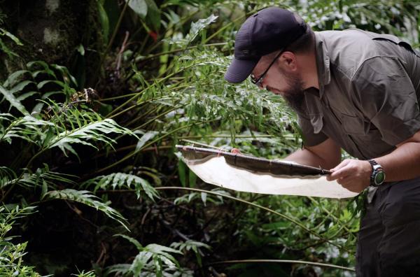Bild 1 von 5: Ecuador beherbergt das Projekt ?Ikiam ? Universidad Regional Amazónica?, ein internationales Forschungszentrum mitten im Urwald.