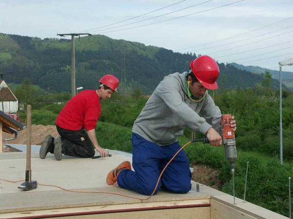 Bild 1 von 5: Willi (vorne) hilft heute beim Bau eines Fertighauses.