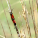 natur exclusiv