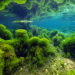 Unser grüner Planet: Wasser