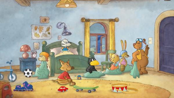 Bild 1 von 4: Socke und seine Freunde feiern eine Übernachtungsparty.