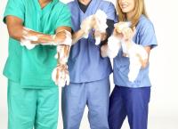 Scrubs - Die Anfänger