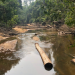SOS Amazonas - Apokalypse im Regenwald